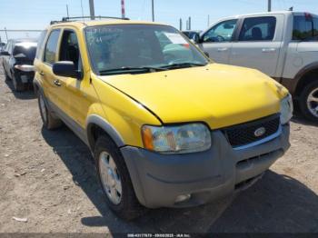  Salvage Ford Escape
