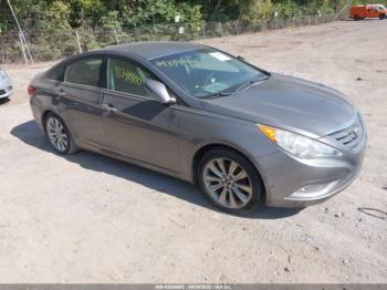  Salvage Hyundai SONATA