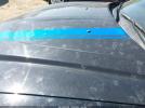 Dodge Charger Image 13