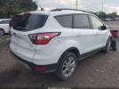 Ford Escape Sel Image 8