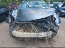 Nissan Murano Platinum Image 11