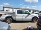 Ford F-150 Fx4 Image 13