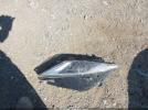 Lincoln MKZ Image 14