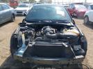 Dodge Charger Image 8