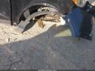 Ford Escape Titanium Image 5