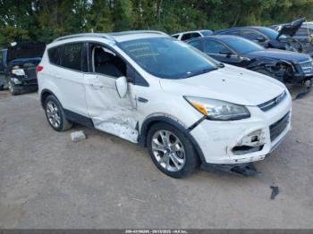  Salvage Ford Escape