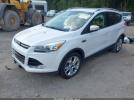 Ford Escape Titanium Image 4