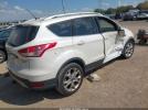 Ford Escape Titanium Image 9