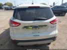 Ford Escape Titanium Image 7