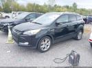 Ford Escape Titanium Image 2