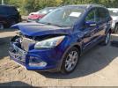 Ford Escape Titanium Image 6