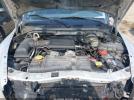Dodge Dakota Image 10