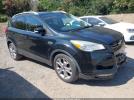 Ford Escape Titanium Image 1