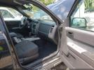Ford Escape Xlt Image 6