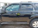 Ford Escape Xlt Image 9