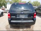 Ford Escape Xlt Image 15