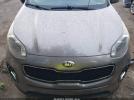 Kia Sportage Ex Image 3