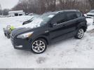 Ford Escape Titanium Image 2