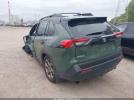 Toyota RAV4 Woodland Edition Image 4