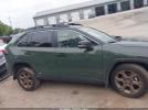 Toyota RAV4 Woodland Edition Image 11