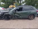 Toyota RAV4 Woodland Edition Image 12
