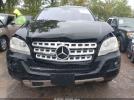 Mercedes-Benz M-Class 4matic Image 5
