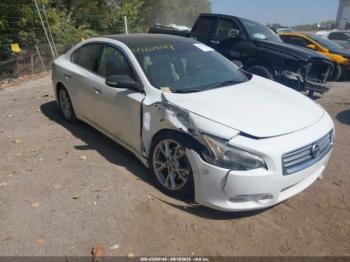  Salvage Nissan Maxima