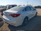 Hyundai SONATA Se Image 12
