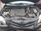 Toyota Corolla S Image 7