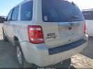 Ford Escape Limited Image 3