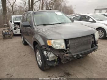  Salvage Ford Escape