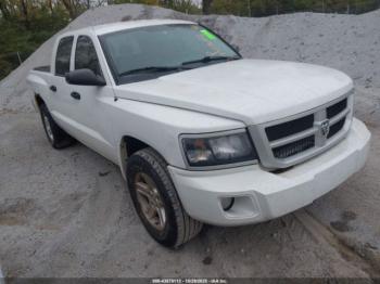  Salvage Ram Dakota