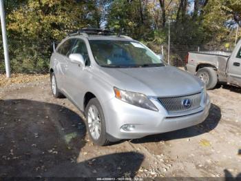  Salvage Lexus RX