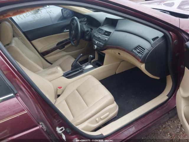 Honda Crosstour Ex-l Image 4