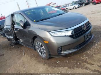  Salvage Honda Odyssey
