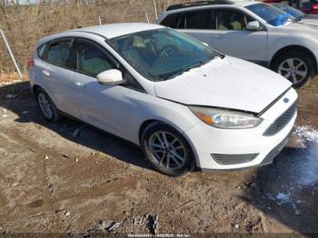  Salvage Ford Focus
