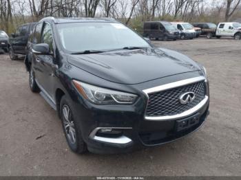  Salvage INFINITI Qx