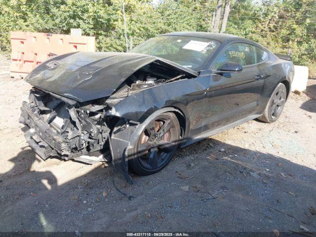 Ford Mustang Ecoboost Image 9