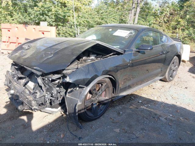 Ford Mustang Ecoboost Image 15