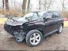 Lexus RX Image 12