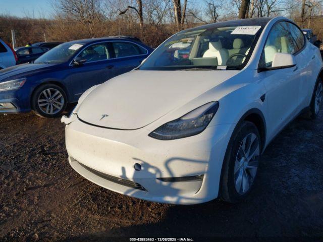 Tesla Model Y Image 5