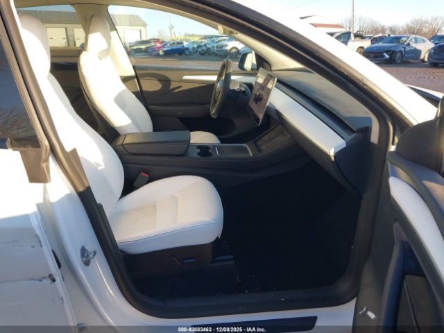 Tesla Model Y Image 4