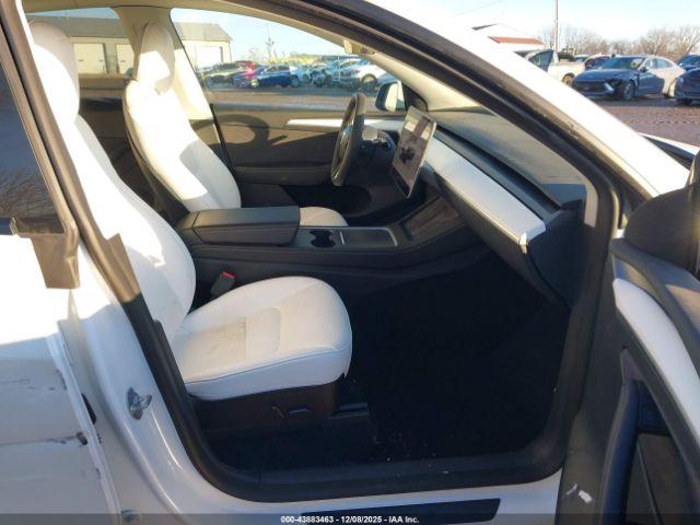 Tesla Model Y Image 4