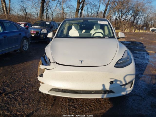 Tesla Model Y Image 7