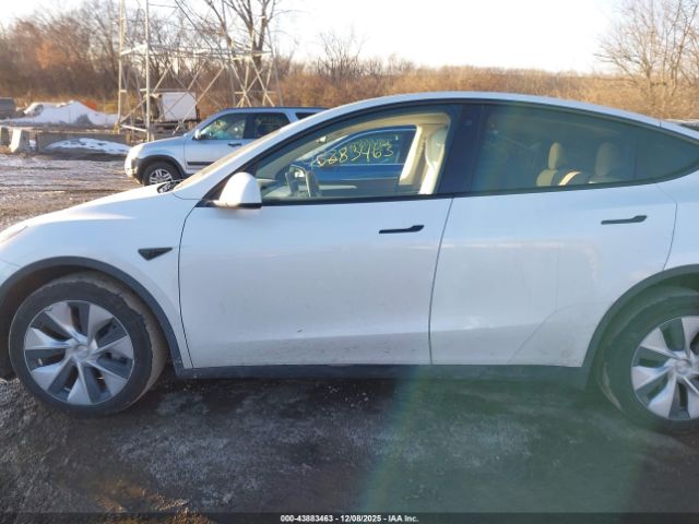 Tesla Model Y Image 11