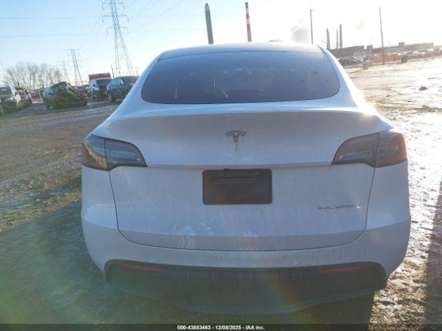 Tesla Model Y Image 12