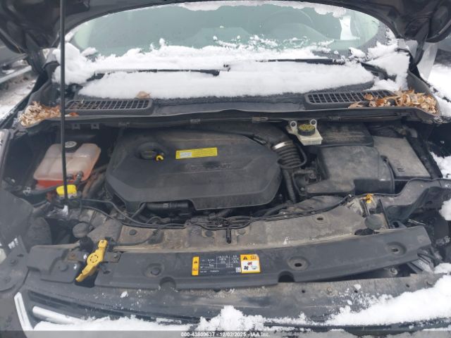 Ford Escape Sel Image 14