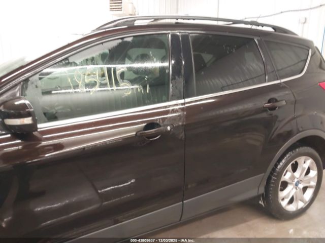 Ford Escape Sel Image 12