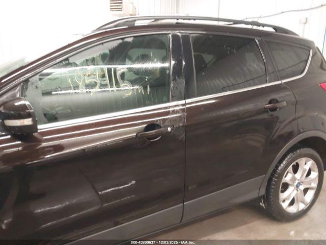 Ford Escape Sel Image 12