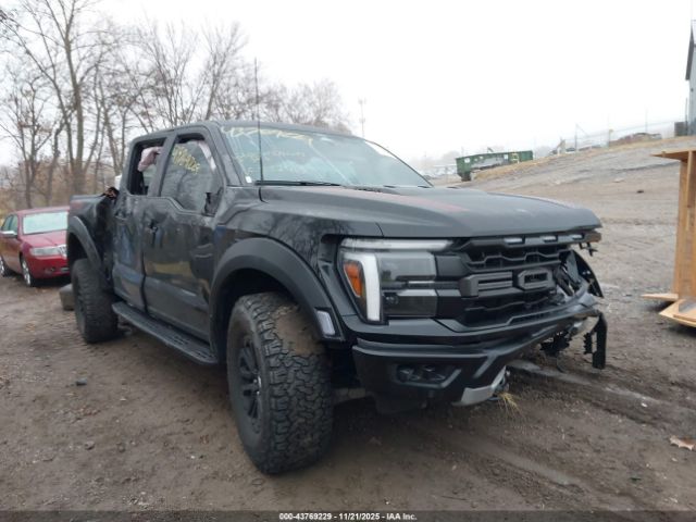 Ford F-150 Raptor Image 1